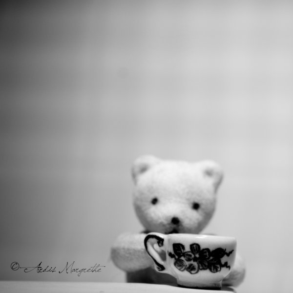 Teddy having tea