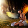 ::FALLEN ANGEL ::