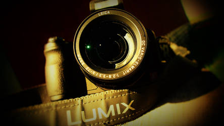 Lumix #19 52 week challenge by repogrim