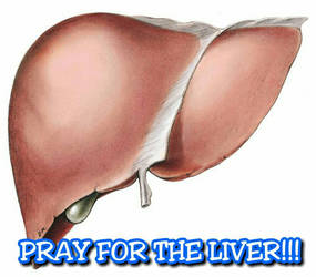 Pray for the Liver!?!