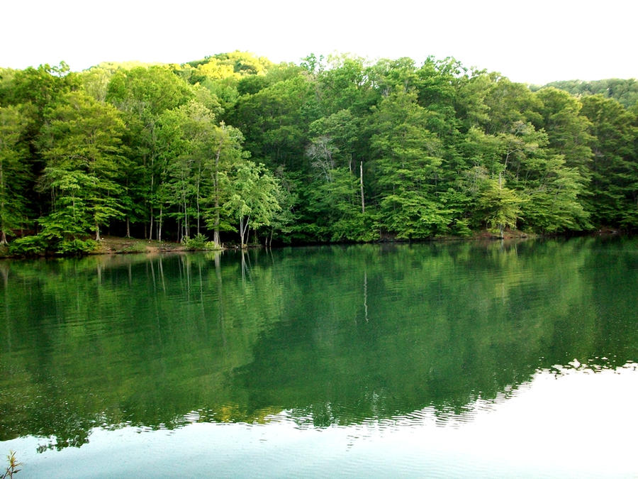 green reflection