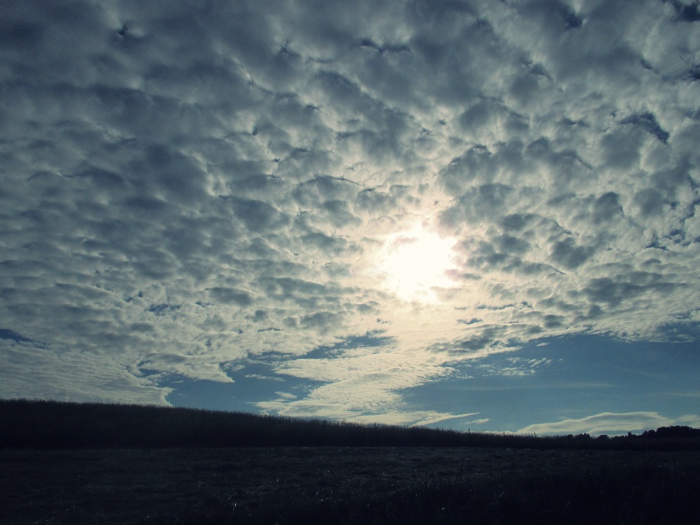 field and sky