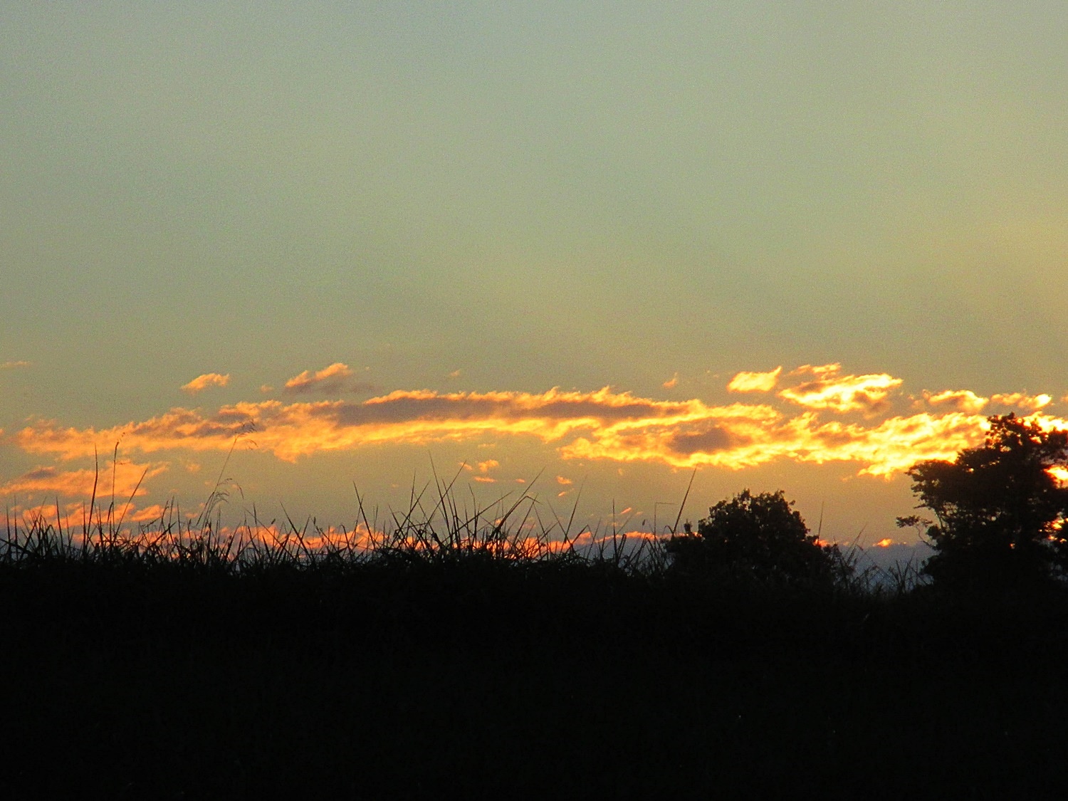 field and sky