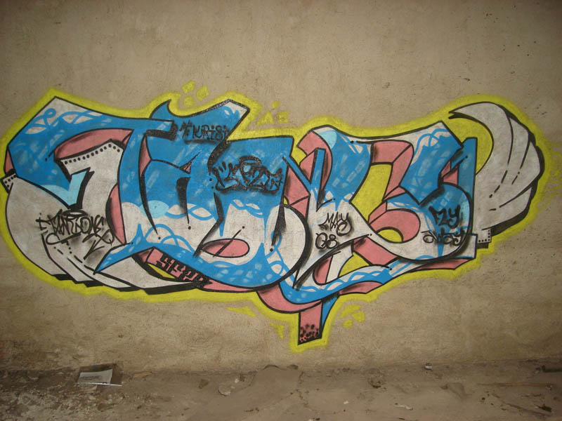 Fly Tang1 on Wall