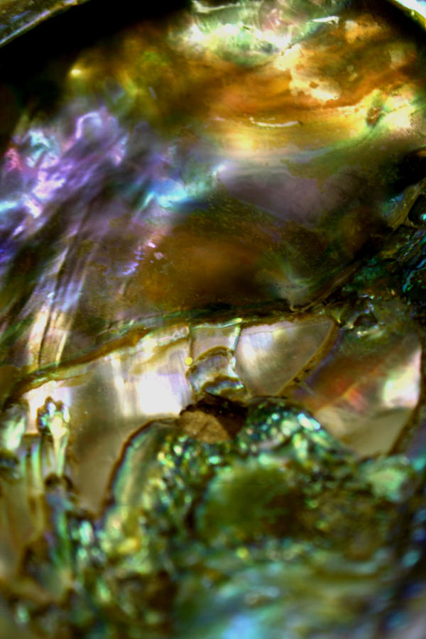 Shinning Shell shell shine by K-mo222 on DeviantArt