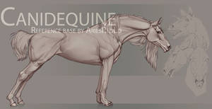 Canidequine reference base