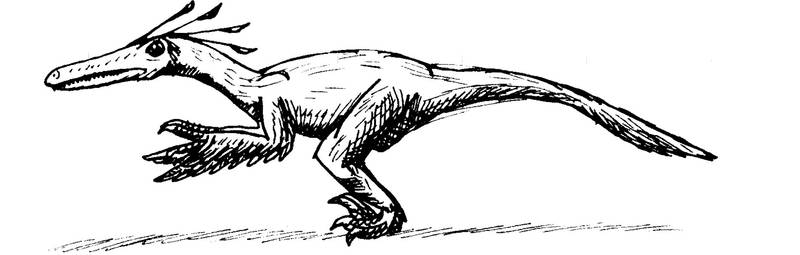 Buitreraptor gonzalezorum