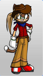 Shawn Michaels as a Sonic Char