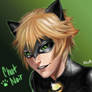 Chat Noir