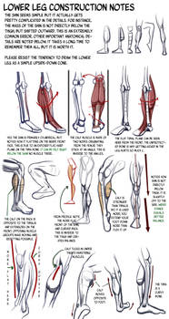 Lower Leg Construction Notes: details we forget