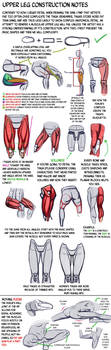 Thigh Construction Tutorial