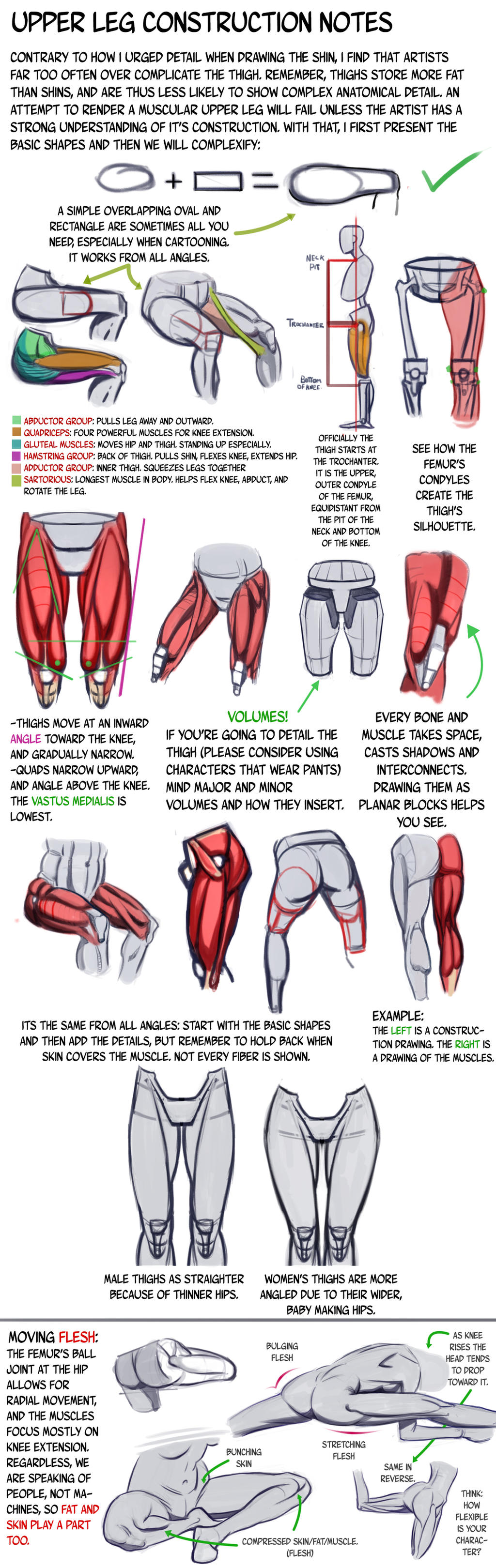 Thigh Construction Tutorial by NemoNova