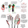 Hand Tutorial Notes