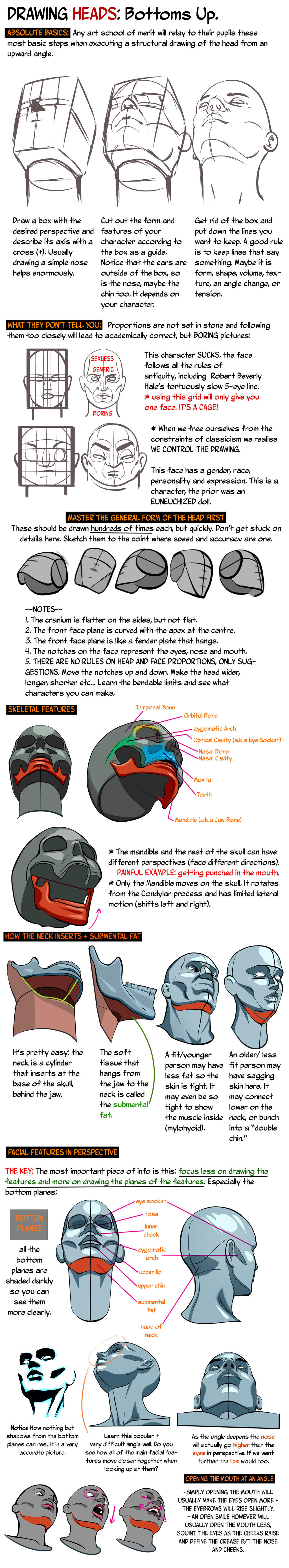 HEADS UP: Drawing the Head from a low angle.