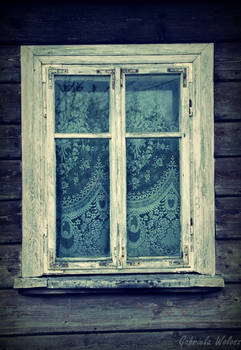 Window