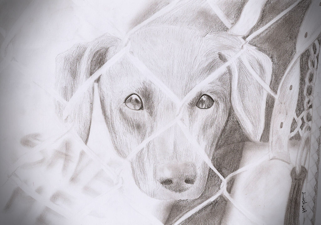 Save me by Liraelwolf on DeviantArt