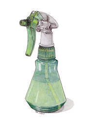 Spray Bottle