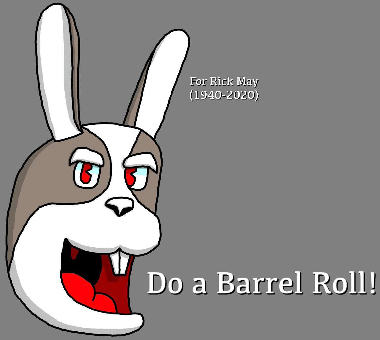 do a barrel Roll by hfbn2 on DeviantArt
