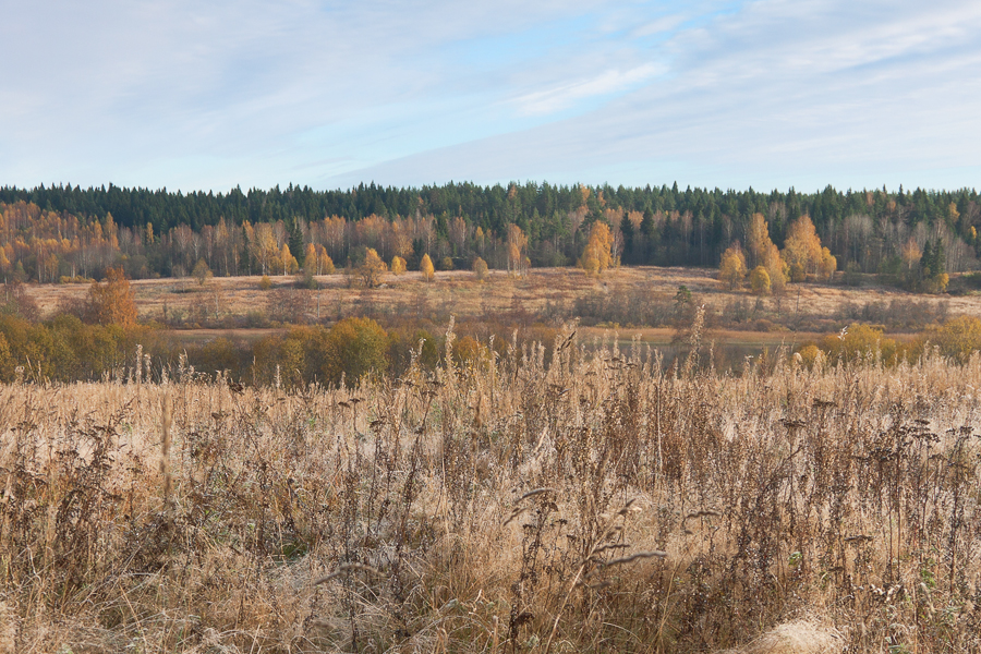 Karelia. Autumn-2011