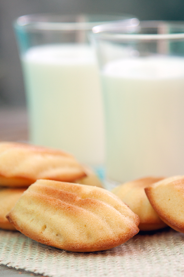 Vanilla madeleines