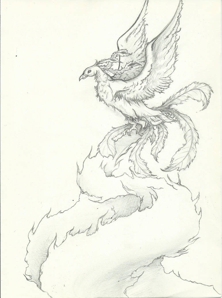 Phoenix Noir Et Blanc By Mcirnelle On Deviantart Phoenix Noir Et Blanc By Mcirnelle On Deviantart
