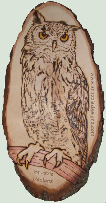 Eagle Owl - Pyrography (Woodburning) by snazzie-designz