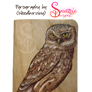 Owl Pyrograph (Wood Burning) Pocket Notebook