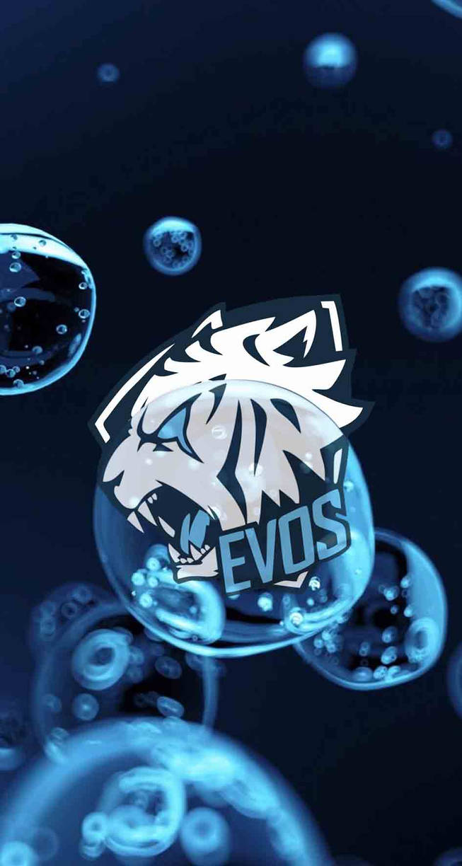 Evos by Algi3 on DeviantArt