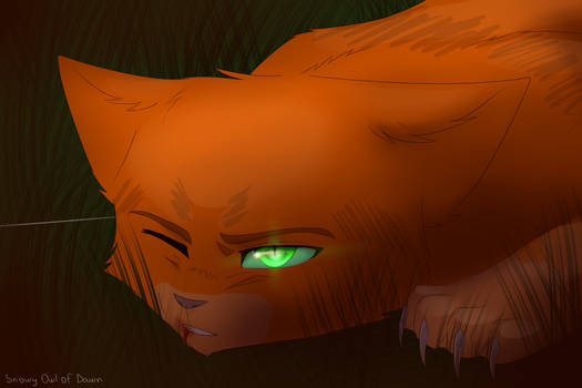 For you to choose, Brambleclaw