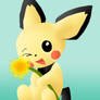 Pichu and the dandelion