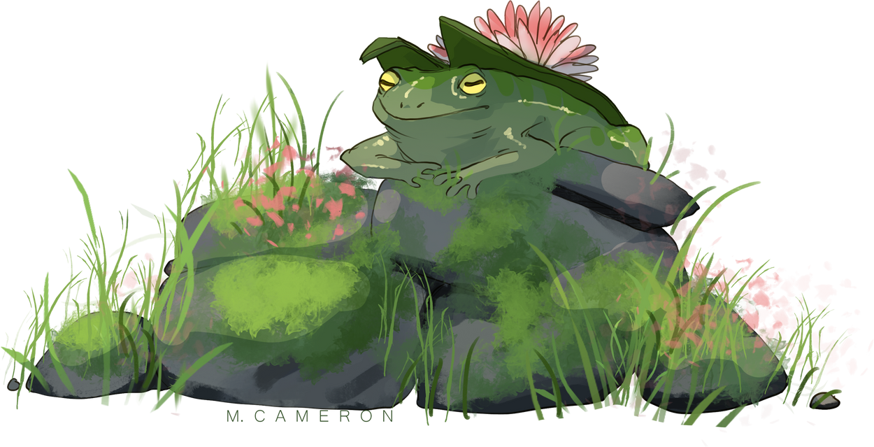Frog by SandPontiff on DeviantArt