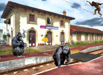 Gare aux gorilles by Kloubtz