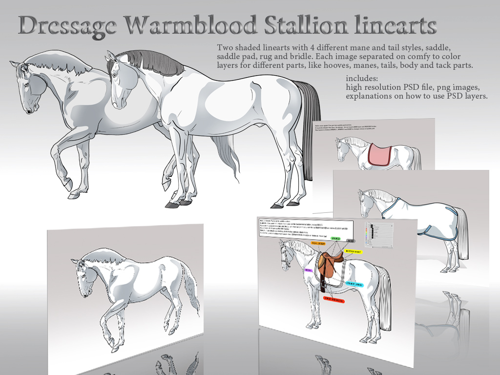 Dressage Warmblood Stallion Shaded Linearts