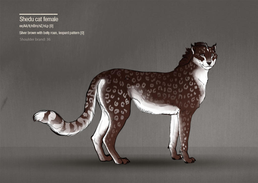 Bashira 36 by Templado