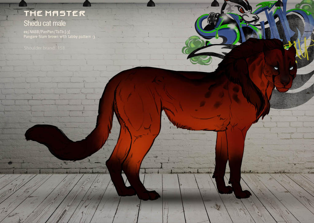 The Master 158ST by Templado