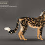 Shedu cat female 188