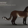 Shedu cat female 405