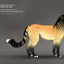 Shedu cat male 413