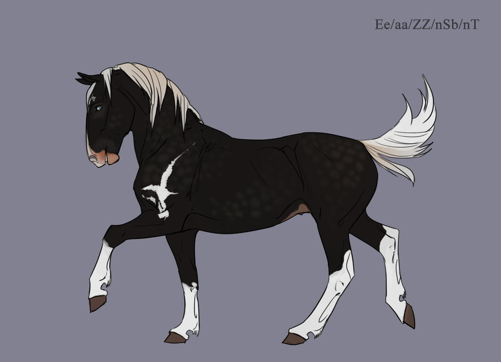 Il Magnifico by Templado on DeviantArt