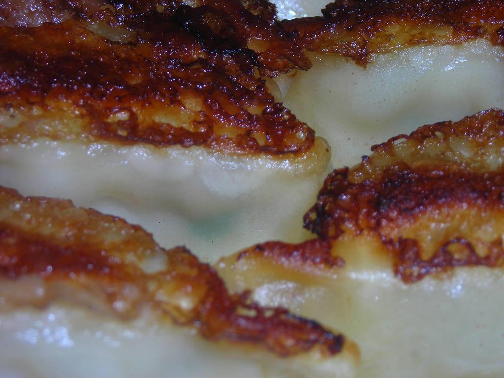 Gyoza Photo 1