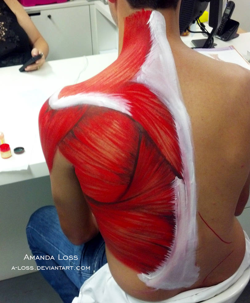 Back Muscles 2 by A-Loss
