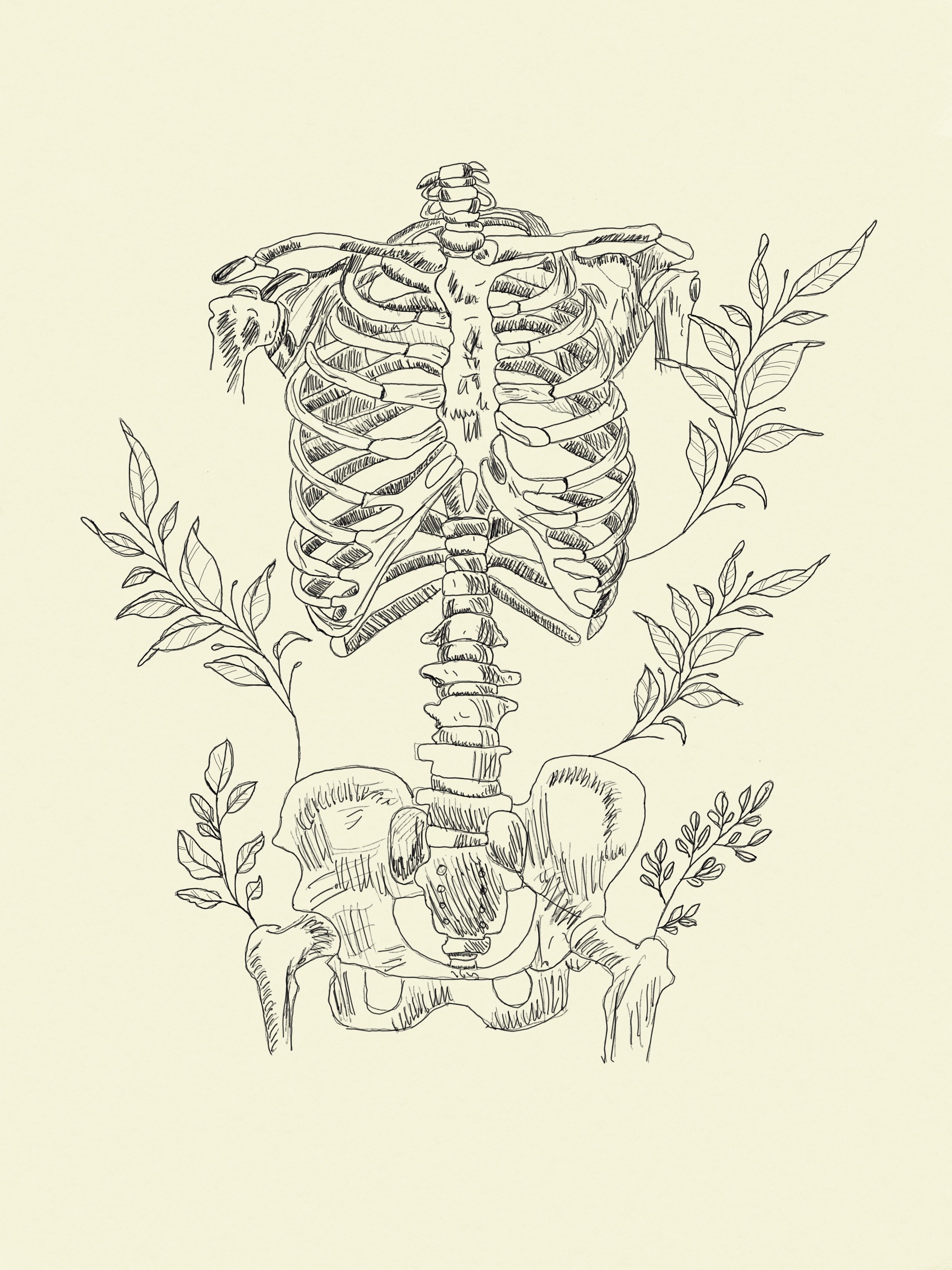 Digital skeleton by Kayla62536 on DeviantArt