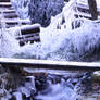 Frozen Bridge.