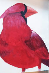 My Cardinal