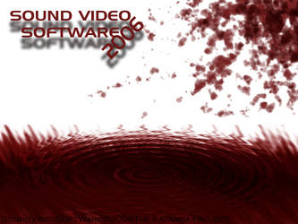 Sound Video SoftWare 2006