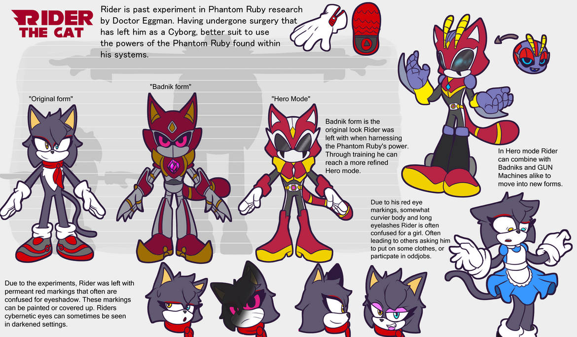 Rider the Cat Reference Sheet Update by Gaminglover on DeviantArt