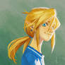 Link BotW