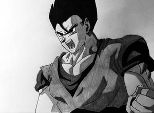 Gohan Traditional