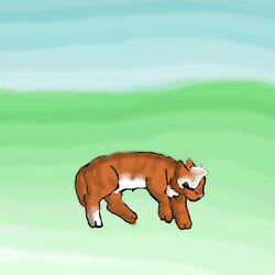 Squirrelflight :D by aquahowl