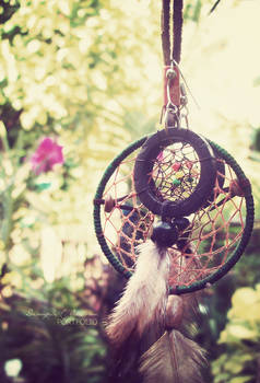 dreamcatcher.